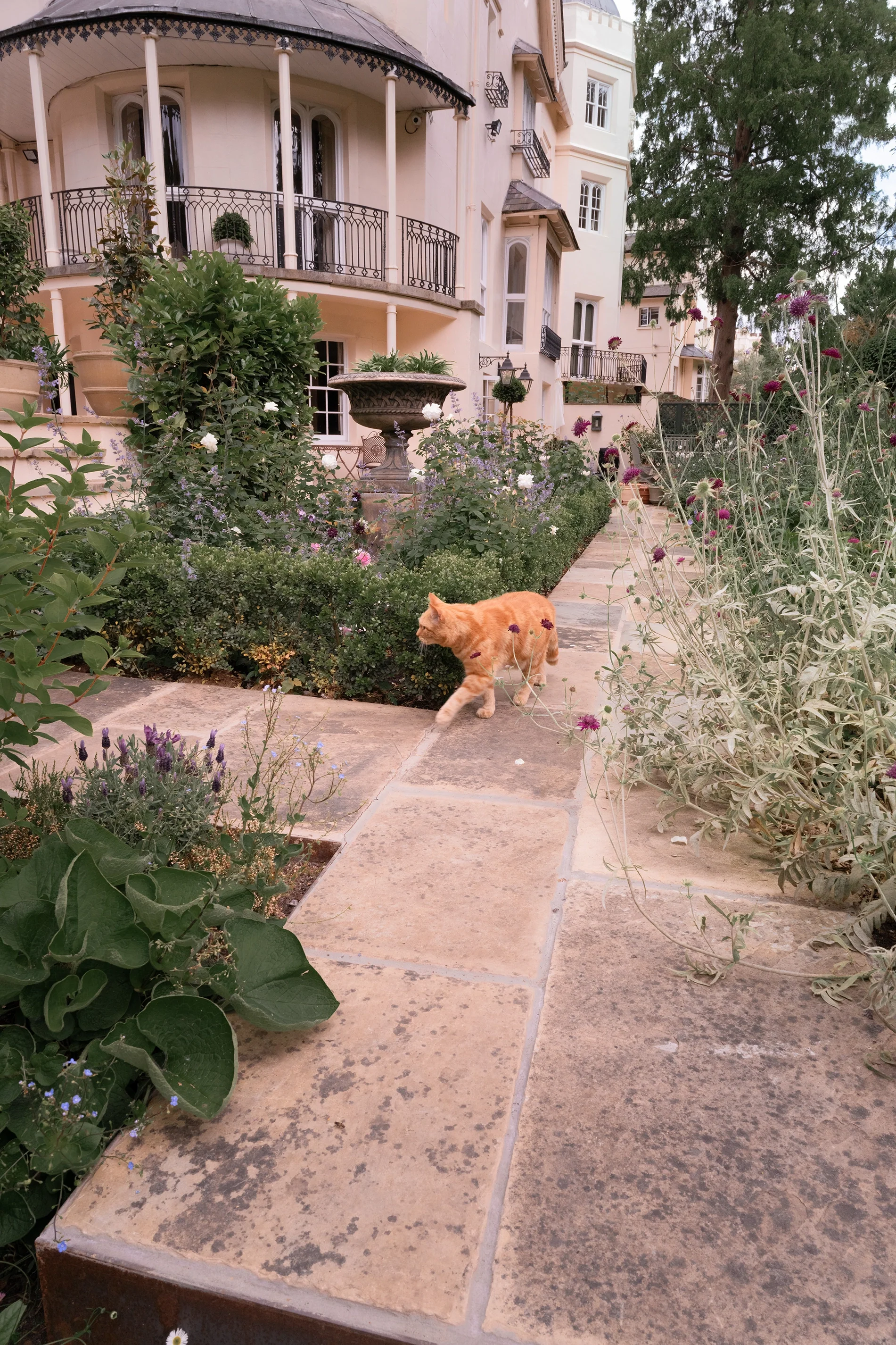 The Perfumer's Garden Experience - Image 4