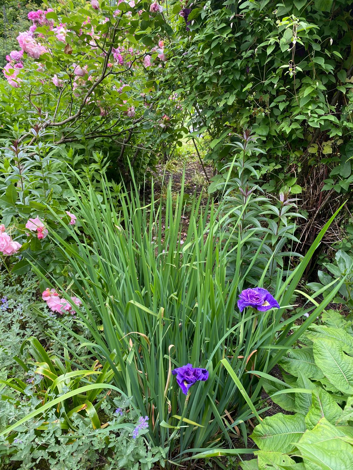 The Perfumer's Garden Experience - Image 8